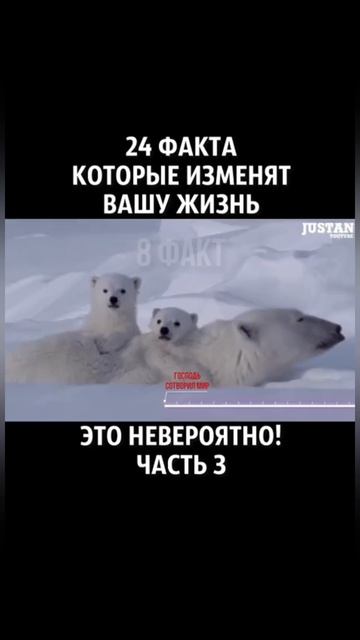 Факты, которые изменяют вашу жизнь