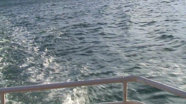 40)Э ПРОГУЛОЧНЫЙ ТЕПЛОХОД ЛАСТОЧКИНОЕ ГНЕЗДО-ЯЛТА