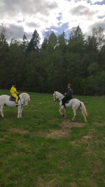 Катание на лошади верхом