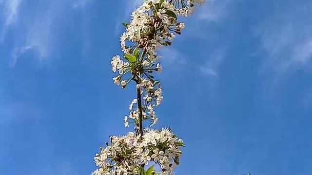 КОМЕДИЯ РОК Пришествие Весны!)))