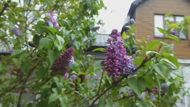 🍗 Радоница по-домашнему: салат в рюкзаке, похолодание и тёплый стол у Юры // 21 апреля 2026 года