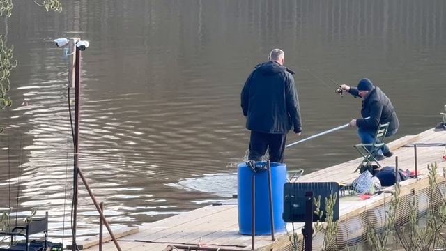 С переходного.СЗ