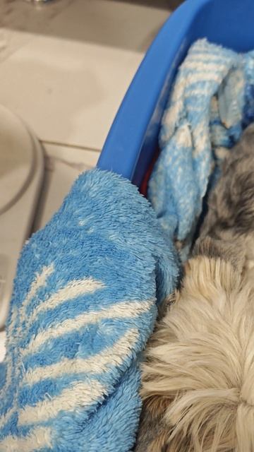 Первое взвешивание