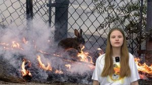 ПРОТИВОПОЖАРНАЯ БЕЗОПАСНОСТЬ