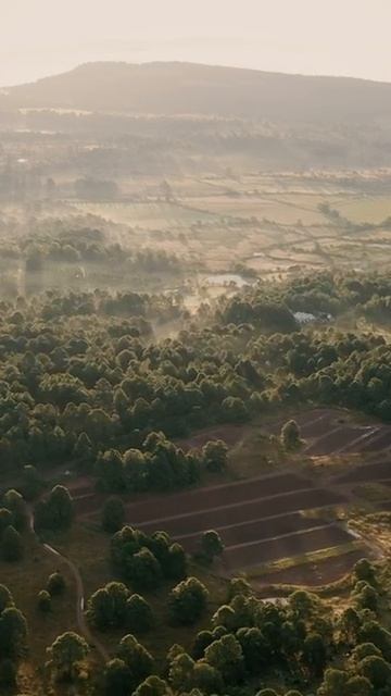 Сеанс по фото