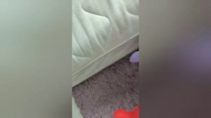 ПВП АРЕНА 1 Часть