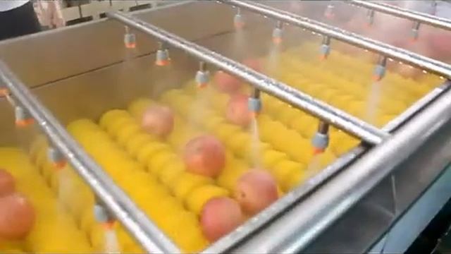 Машина для деликатной мойки овощей Вега/Vega Del Wash F30