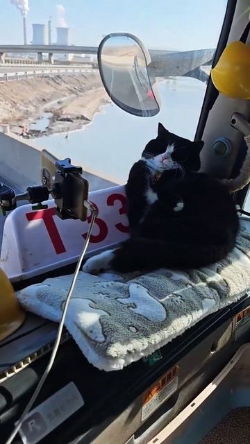 Веду свой блог