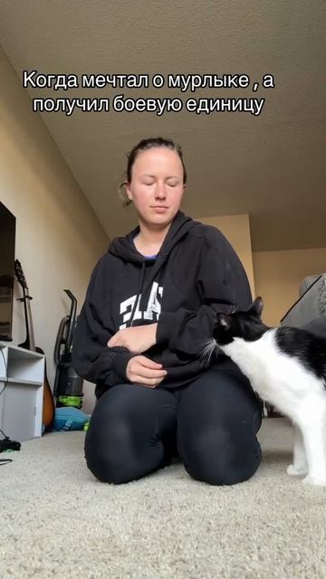 Боевая единица