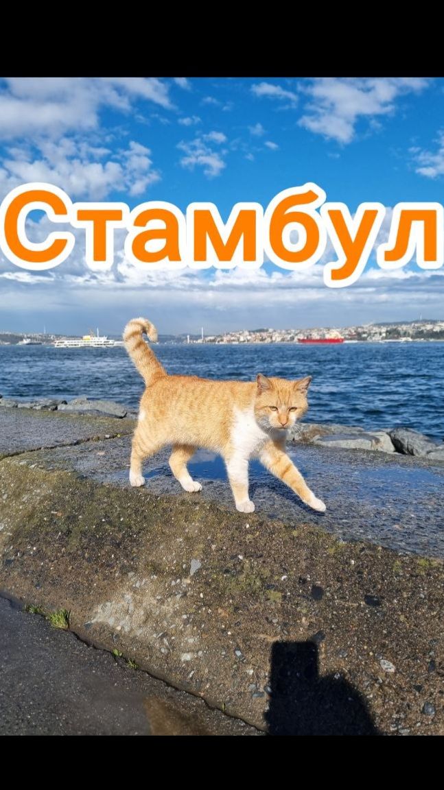 Video_2026-04-21_21-38-26