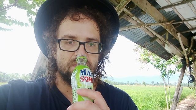 Дегустация тайского витаминного напитка Mansome. Вкусный, или только витаминный?