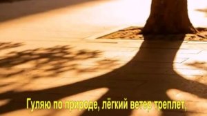 Гуляю по природе, лёгкий ветер треплет,