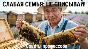 Слабую семью — в расход или в подсил? Мнение профессора Кашковского ⚠️