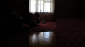 Стирка носка на программе быстрая 15 мин без градусов 400об/мин (она не стала отжимать 2 раз)