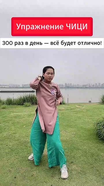 Упражнение ЧИЦИ