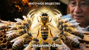 Что объединяет пчелиную семью? Маточное вещество и сила улья / Профессор Кашковский