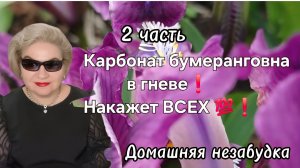 2 часть. Карбонат. бумеранговна в гневе❗️Накажет ВСЕХ💯❗️