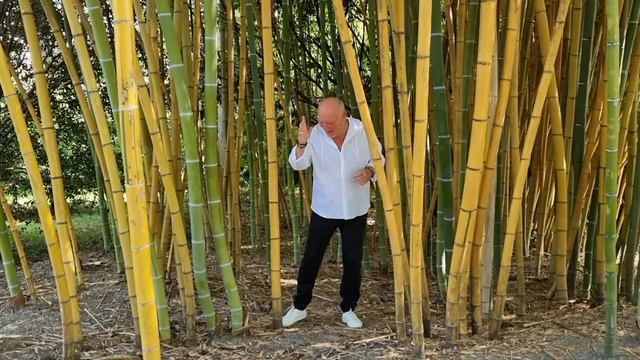 Любимая Песня на ВСЕ Времена!!!