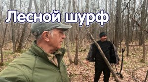 Лесной шурф в старинном урочище! Сезон 2026