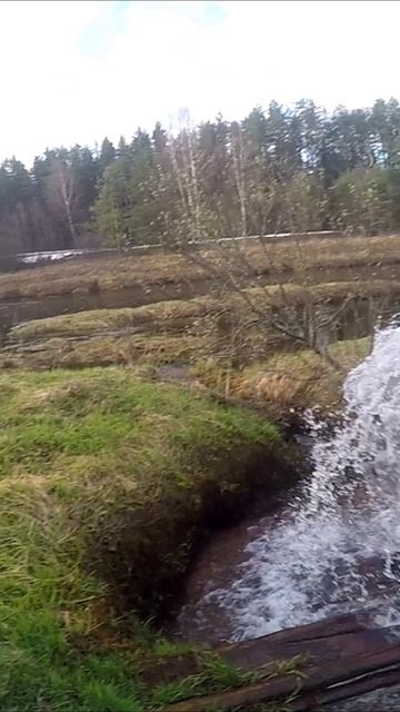 Мощный ключ на реке Осуга