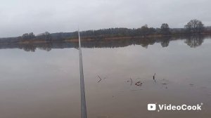 Река Вейна. Утро, апрель 2026 г.