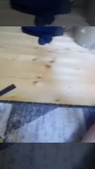 VID_20260421_190642 (1)