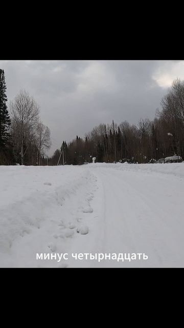 «Снежный барс моей тайги»