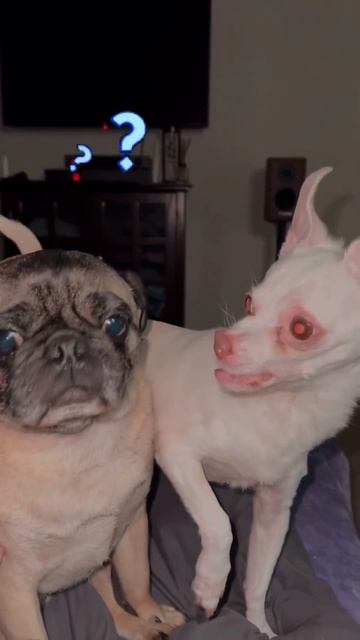 Ну куда пошёл, а познакомиться 😏?))