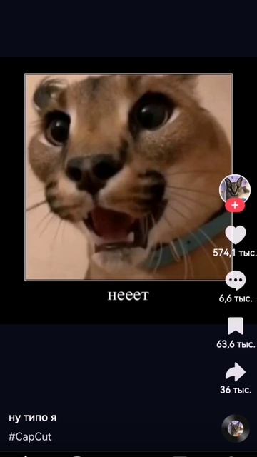 Артём ты что играешь в бровл сторс???