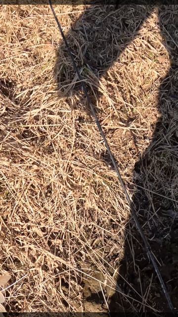 Елец на ультралайт весной! Ловля мормышингом в начале сезона! Видео уже на канале!