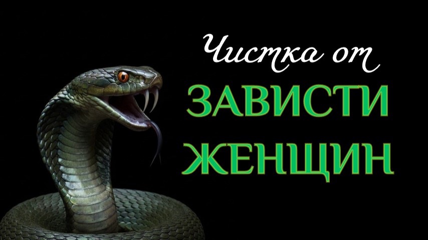 🐍ОТ ЖЕНСКОЙ ЗАВИСТИ🐍