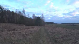 ОХОТА НА ВАЛЬДШНЕПА, ОБАЛДЕННАЯ