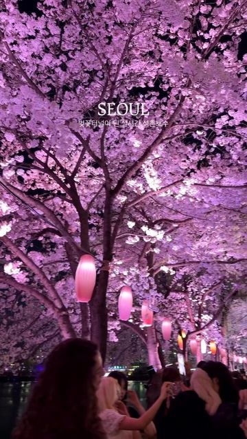 Сеул, Южная Корея