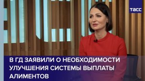 В ГД заявили о необходимости улучшения системы выплаты алиментов в РФ