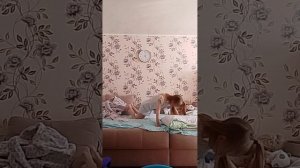 привожу свою кровать в порядок