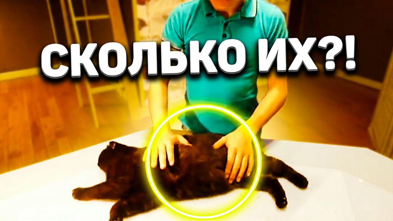 Никиса РОДИЛА! Как это было: Все серии подряд