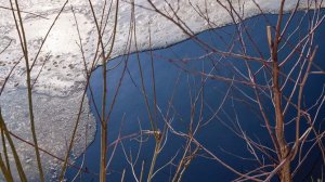 Народные приметы на 21 апреля: что можно и нельзя делать