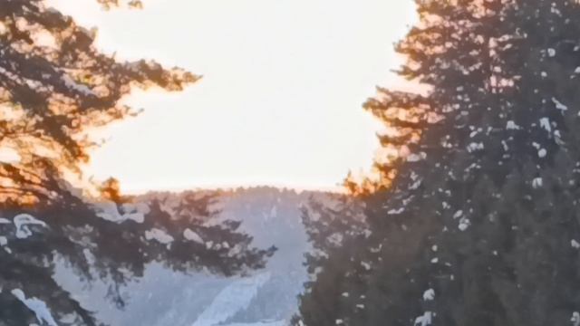 3. ГГора Теплая (728 метров). 10 марта 2026 года.