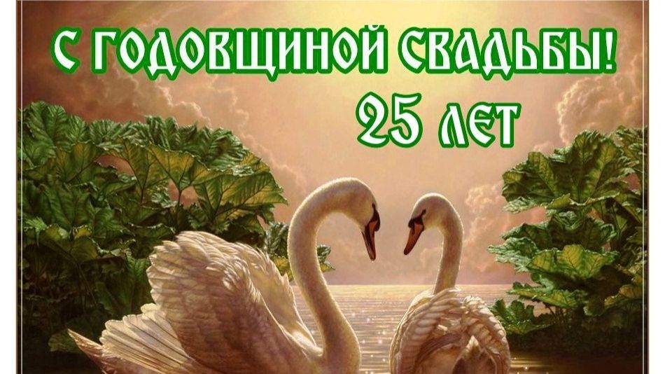 Серебряный год (25 лет вместе )