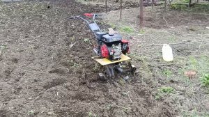 Прокультивировал огород