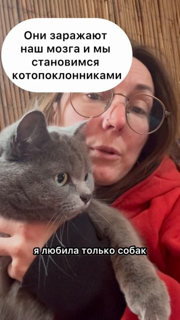 Почему мы любим кошек