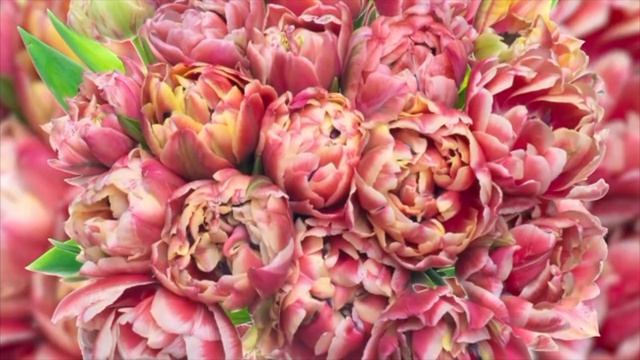 Дофамин для твоего успеха!