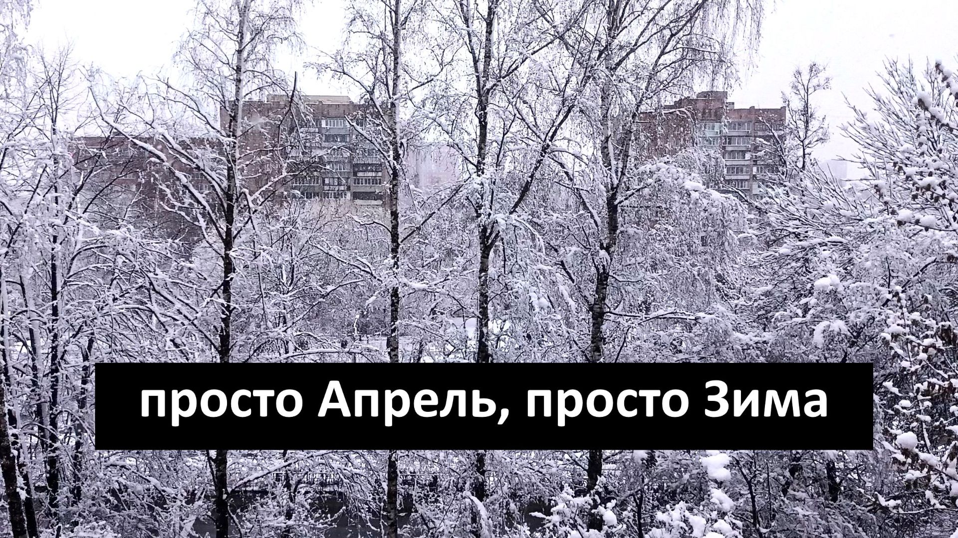 просто Апрель, просто Зима. #Весна #Снег #Зима #Рязань