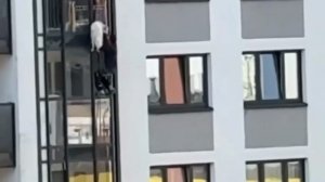 Жители дома в Петербурге, не дожидаясь МЧС и полиции, спасли собаку с балкона. Она просидела там...