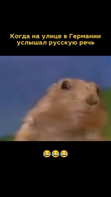 Было? 😄 #немецкий #германия #немецкийязык