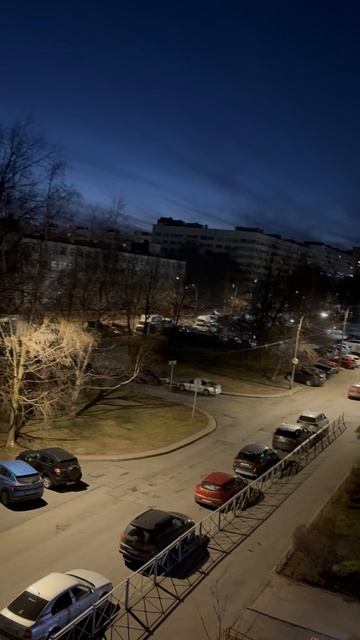 Вот так проходят ночи в Санкт-Петербурге. Как будто в лесу