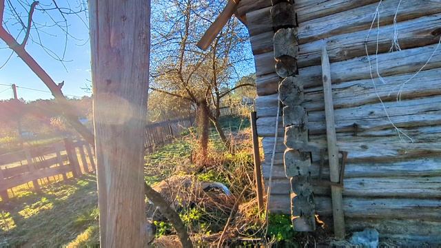 Что творится в деревне с восходом солнца.