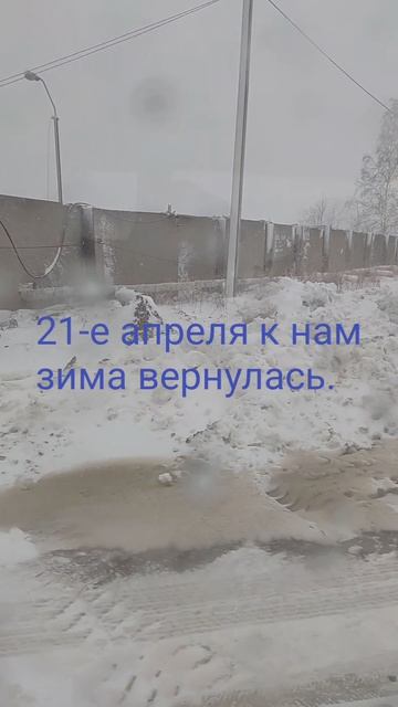 Снег в апреле.