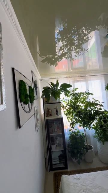 Пожарова, 20