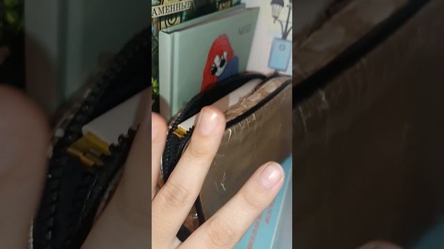 продолжаем копить на мечту